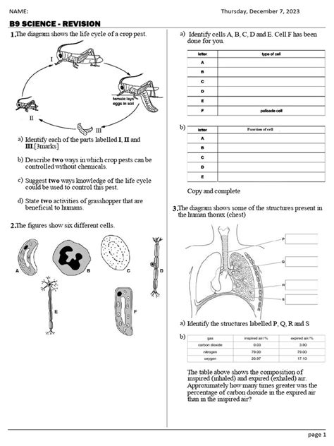 Example of Science Practical Exam 的图像结果