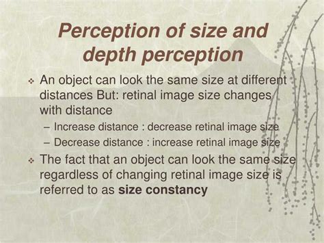 Image result for Depth map Depth Perception