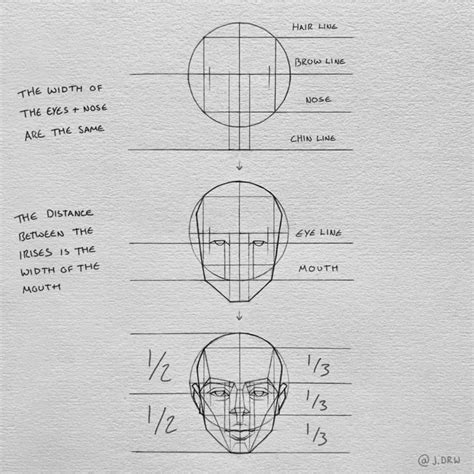 Image result for Face Proportion Tutorial