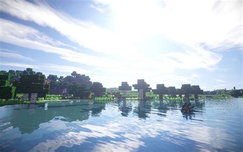 Image result for Minecraft Reflection