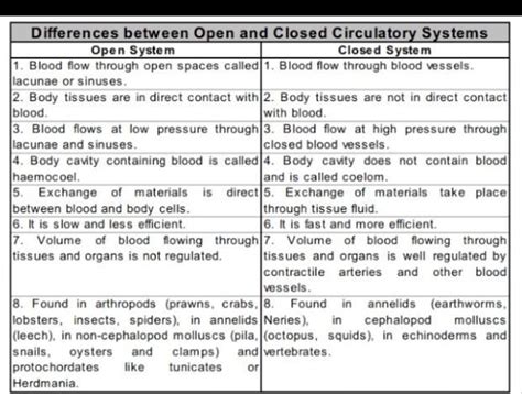 Explain the differences between open blood circulatory system and ...