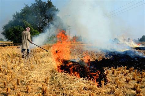 Just ahead of Delhi's smog season, farmers of Punjab & Haryana start ...