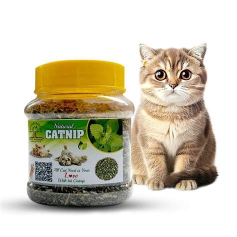 Buy Mats Avenue Pure Original Dried Catnip Himalayan Variety Attractive ...