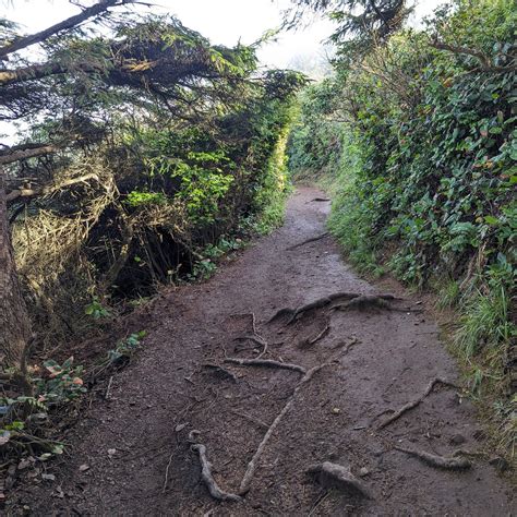 Trinidad Head Tsurai Trail (in Trinidad, California) | I’m attempting ...