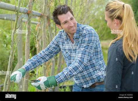 Image result for Sapling Pruning