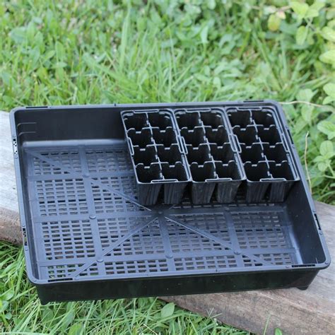 Seedling Tray | The Seed Collection