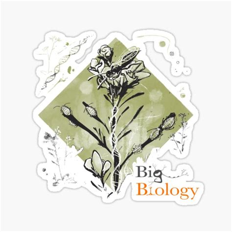 Image result for GenStone Keystone