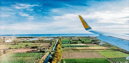 Ocells, avions i carxofes al Prat de Llobregat