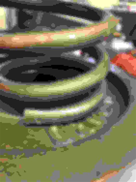 Image result for Variable Rate Spring