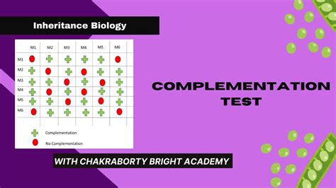 Image result for Complemention Testing