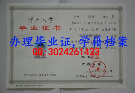广西大学毕业证样本学籍档案- 原版定制服务中心