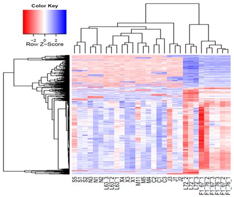 Characterization of Copy Number Variation’s Potential Role in Marek’s ...