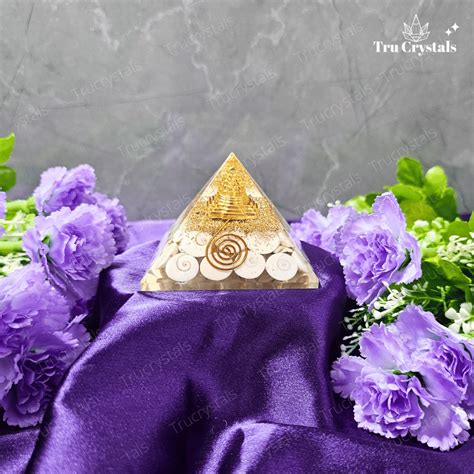 Gomati chakra With Sri Chakra Pyramid- To Attract Godess Lakshmi ...