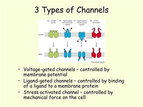 Image result for Structural channel Types