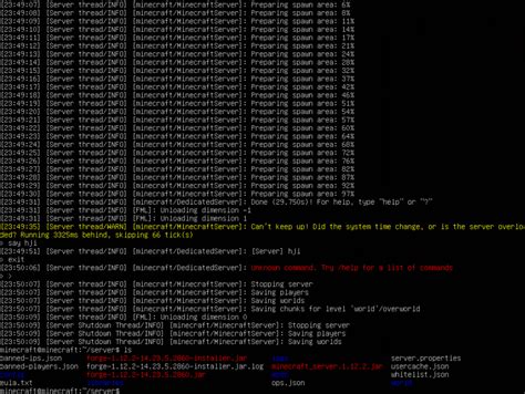 Image result for Setup Pixelmon Server Java