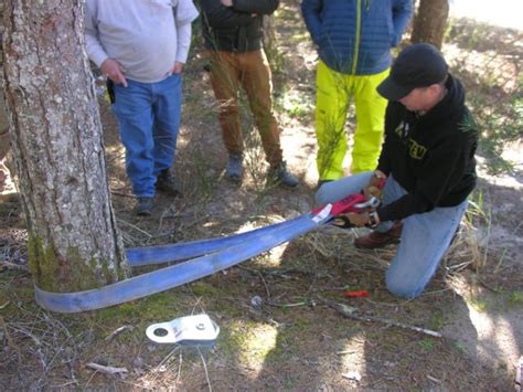 Image result for Using Snatch Block When Winching