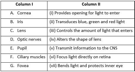 Sensory Reception and Processing (NCERT) Free MCQ Practice Test with ...