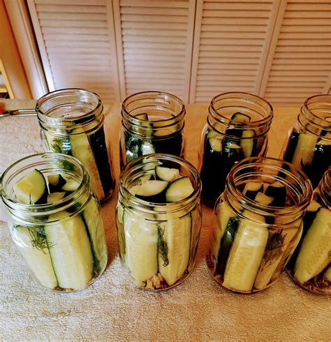 Sour Dill Pickles