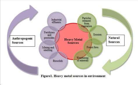 Image result for Dialog Box Visual Basic
