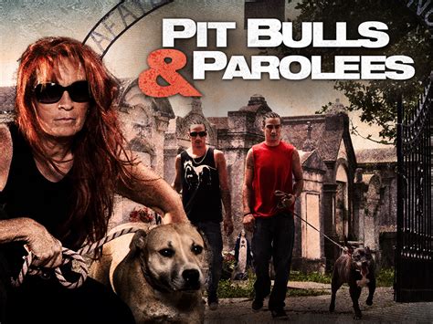 Prime Video: Pit Bulls & Parolees, Season 6