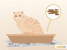 katze durchfall und erbrechen was tun wenn die katze durchfall hat markt de katze durchfall und erbrechen was tun wenn die katze durchfall hat markt de