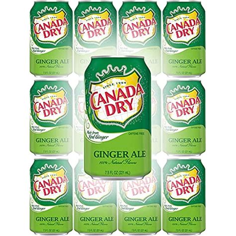 Canada Dry Ginger Ale, 7.5Oz Mini Can (Pack Of 12, Total Of 90 Oz ...