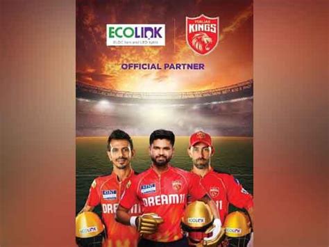 Kicking off IPL 2025, Ecolink associates with Punjab Kings as 'Official ...