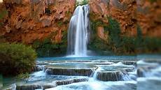 Desktop Savers Free Downloads by Free Wallpapers And Screensavers Wildlife Wallpapersafari Desktop Savers Free Downloads