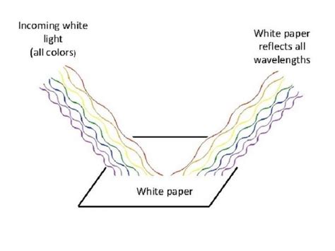 Image result for Most Objects Reflect Light