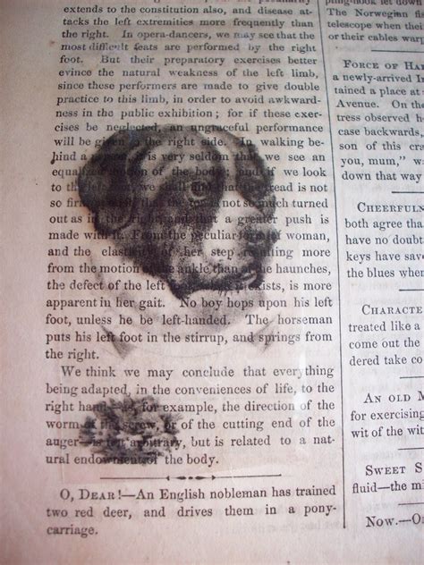 Image result for Image Transfer Tutorial