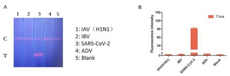 Recombinase Polymerase Amplification Combined with Fluorescence ...
