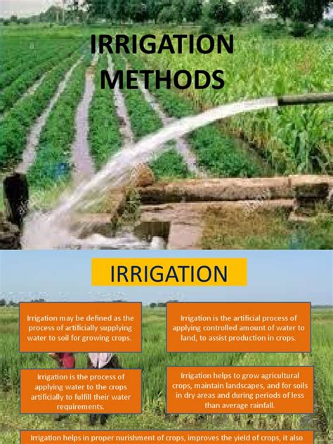 Image result for Types of Irrigation Project PDF