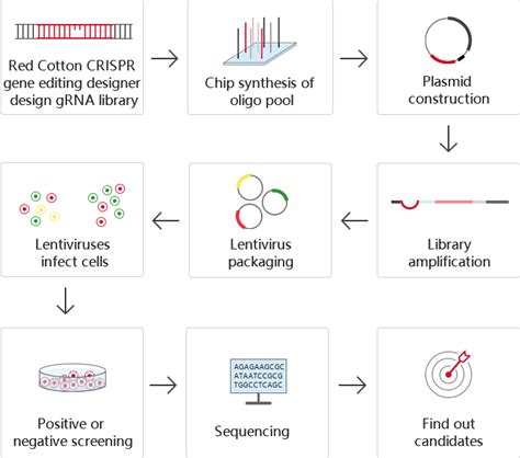 Image result for CRISPR Tutorial