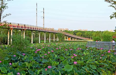 云林生态体育公园，即将全面落成为市民开放。江苏无锡锡山区。__财经头条