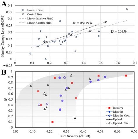 Urban Fire Severity and Vegetation Dynamics in Southern California