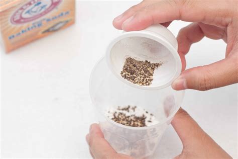 DIY Natural Ant Killer - Pet safe indoor homemade ant killer