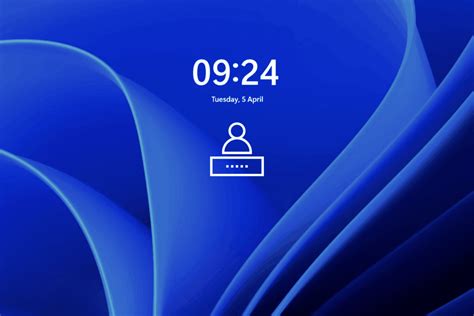 Image result for Windows 11 Password Input