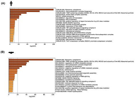 Comparative Proteomics and Interactome Analysis of the SARS-CoV-2 ...
