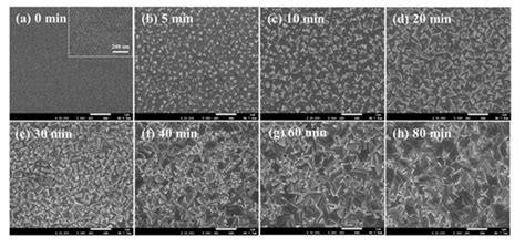 Progress towards High-Efficiency and Stable Tin-Based Perovskite Solar ...