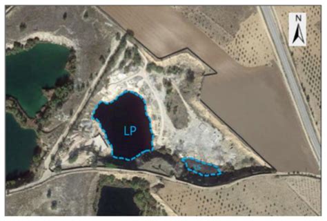 Alternative Fuel Generation from Dangerous Solid Waste in a Protected ...