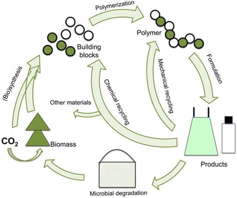 Bio-Based Polymers for Environmentally Friendly Phase Change Materials