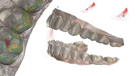 Image result for Modjo Jaw Motion