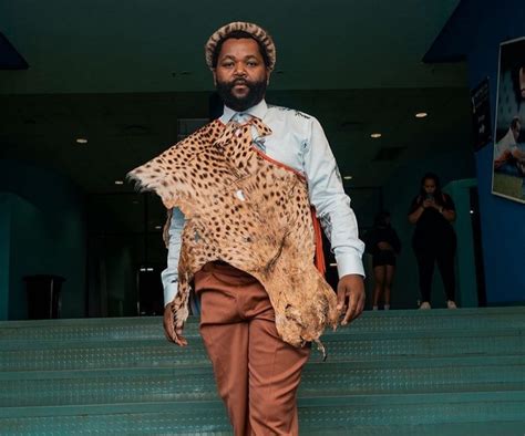 Image result for Sjava New Album Concept
