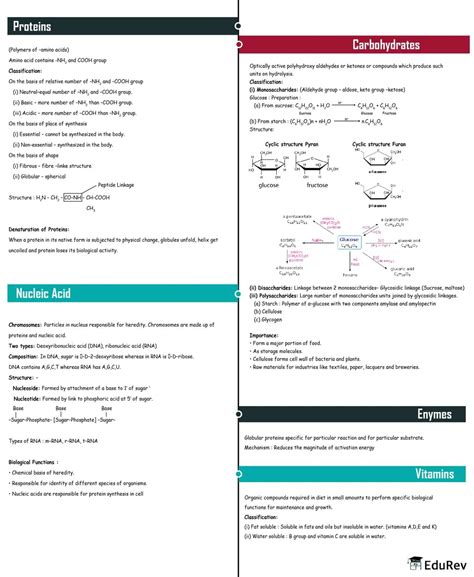 Mindmap: Biomolecules - Chemistry Class 12 - NEET PDF Download
