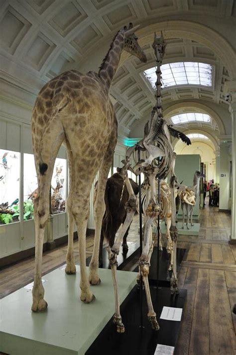 MUSÉE D'HISTOIRE NATURELLE ET VIVARIUM Guide (2026) All You Need to ...