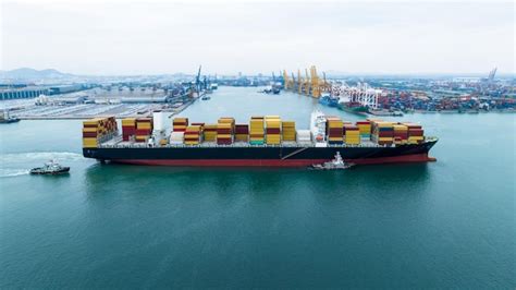 Export 的图像结果