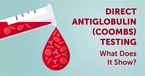 Image result for Coombs Reagent