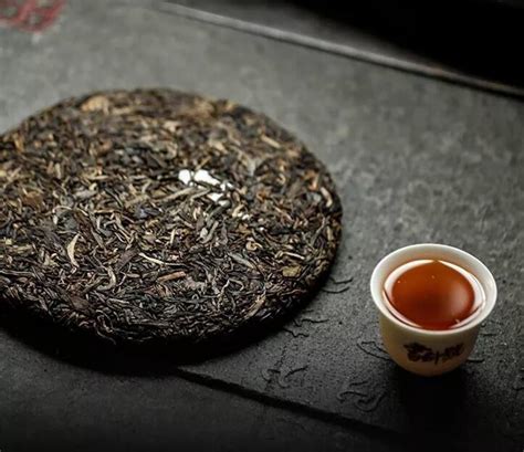 云南十大古树普洱茶的排名和产地_苦荞茶文化
