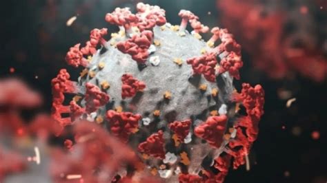 How Heavily Mutated Omicron Variant Is Spreading So Fast, Sparing Lungs