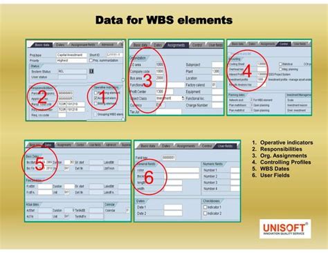SAP Project Systems PDF 的图像结果